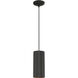 Pilson XL LED 6 inch Matte Black Pendant Ceiling Light