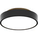Jazz LED 12 inch Black Flush Mount Ceiling Light