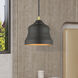 Endicott 1 Light 7 inch Bronze with Antique Brass Finish Accents Pendant Ceiling Light in Bronze with Antique Brass Accent