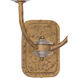 Atella 2 Light 9.75 inch Ashen Gold Wall Sconce Wall Light