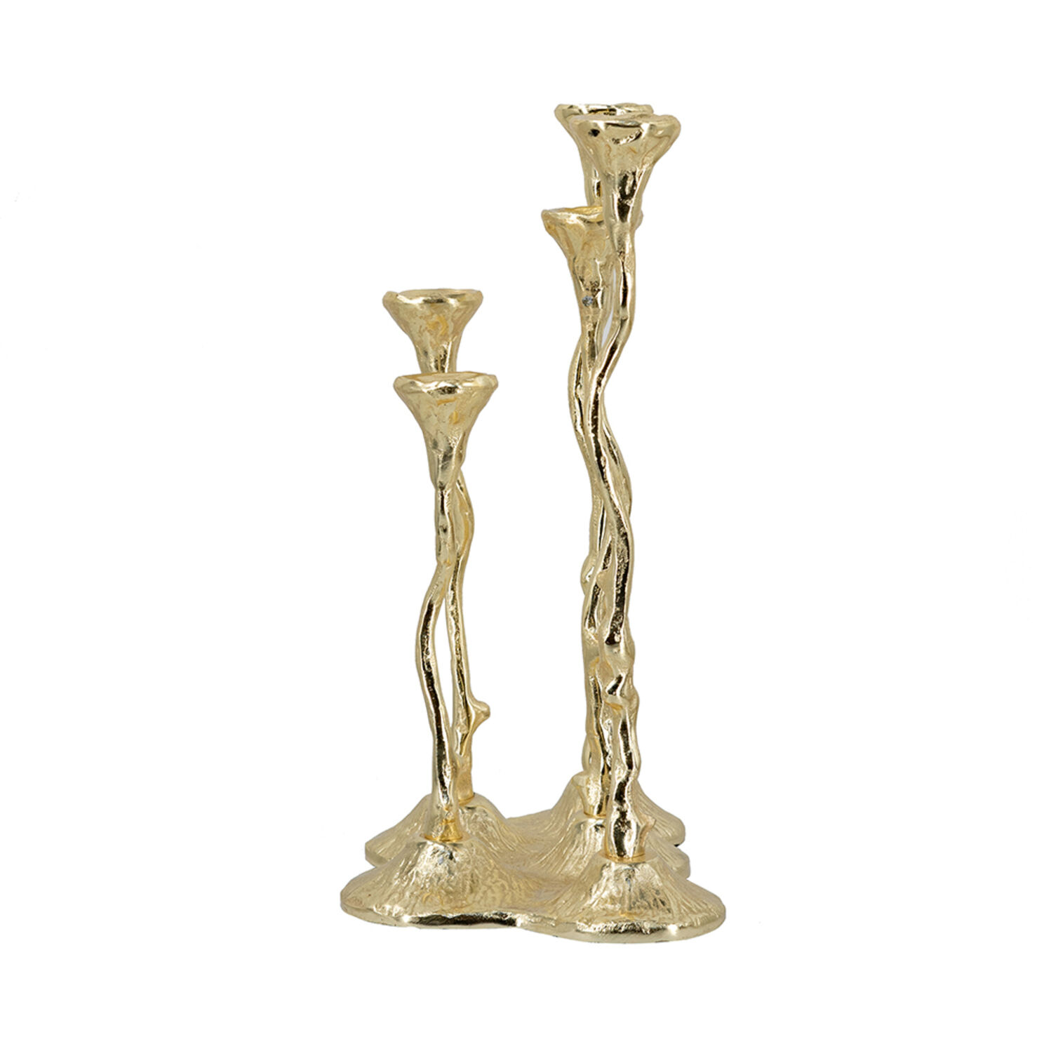 Anita 14.2 X 9.8 inch Candle Holder