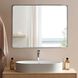 Steele 40 X 30 inch Silver Mirror