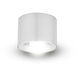 NODE Series Chrome Surface Mounted Downlight Ceiling Light