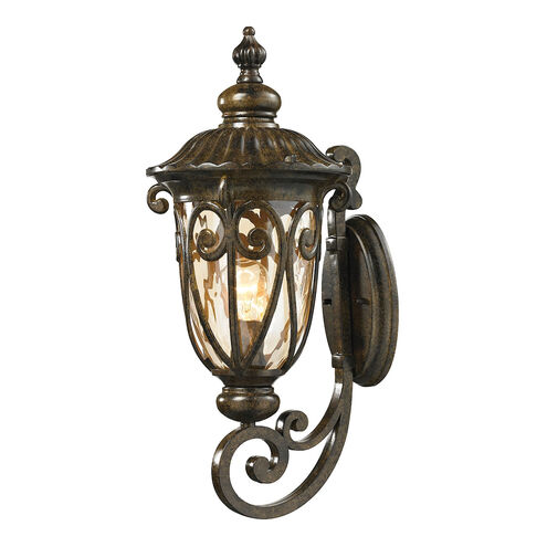 Lupe 1 Light 22 inch Hazelnut Bronze Outdoor Wall Sconce