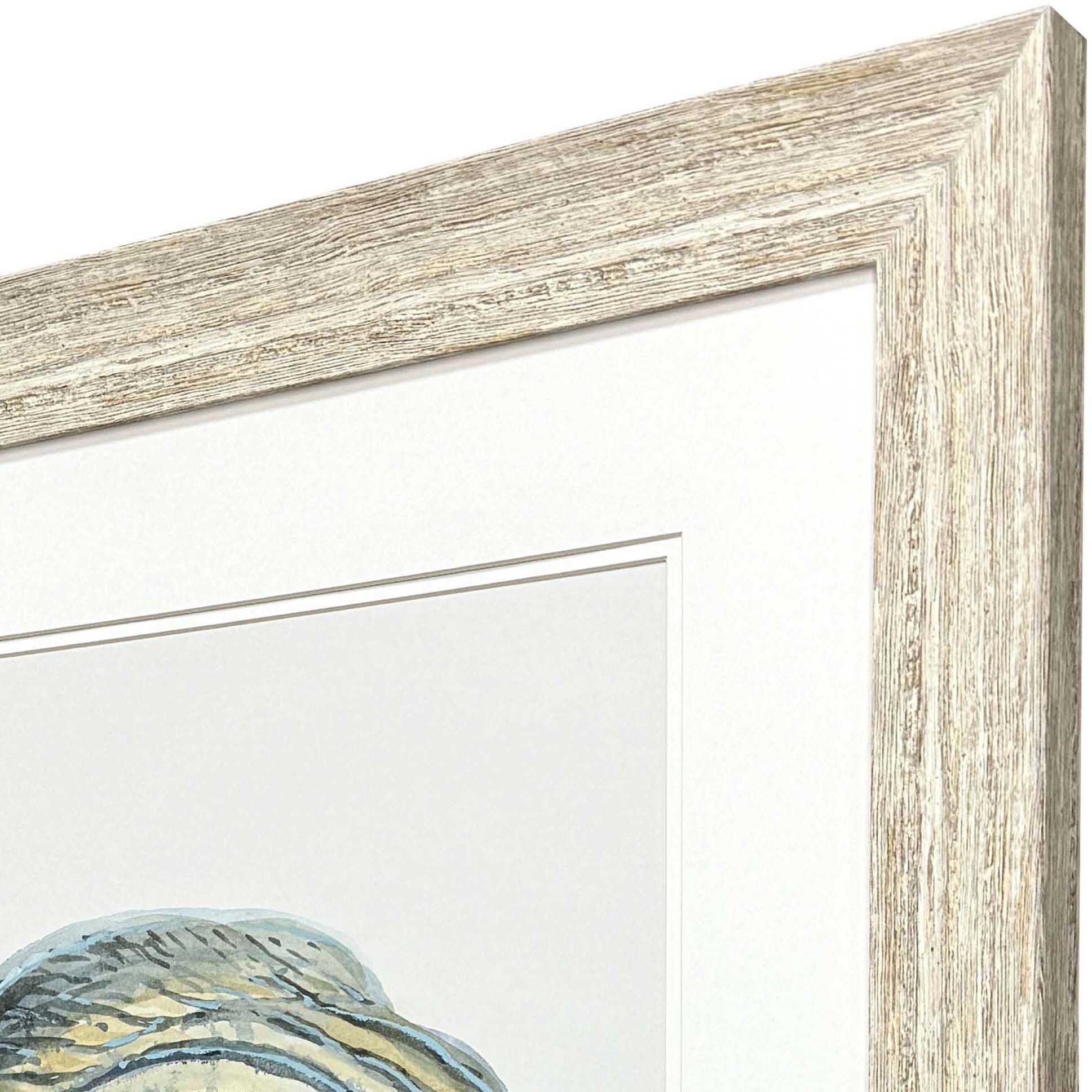 Coastal Bliss Green and Blue Framed Art, Propac