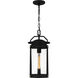 Clifton 1 Light 8.75 inch Earth Black Mini Pendant Ceiling Light, Small