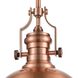 Chadwick Pendant Ceiling Light in Antique Copper