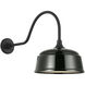 Thomas O'Brien Academy Barn Light LED 16.5 inch Matte Black Flynn Barn Light in 12.5" Green Rockhouse Shade
