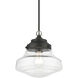 Avondale 1 Light 9 inch Black with Brushed Nickel Accent Mini Pendant Ceiling Light