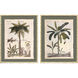Palm Study II Green and Beige and Brown Framed Art
