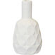 Cano 12.5 X 7 inch Vase