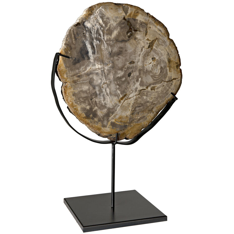 Wood Fossil Matte Black Decorative Object