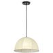 Stevie 1 Light 15 inch Natural Pendant Ceiling Light