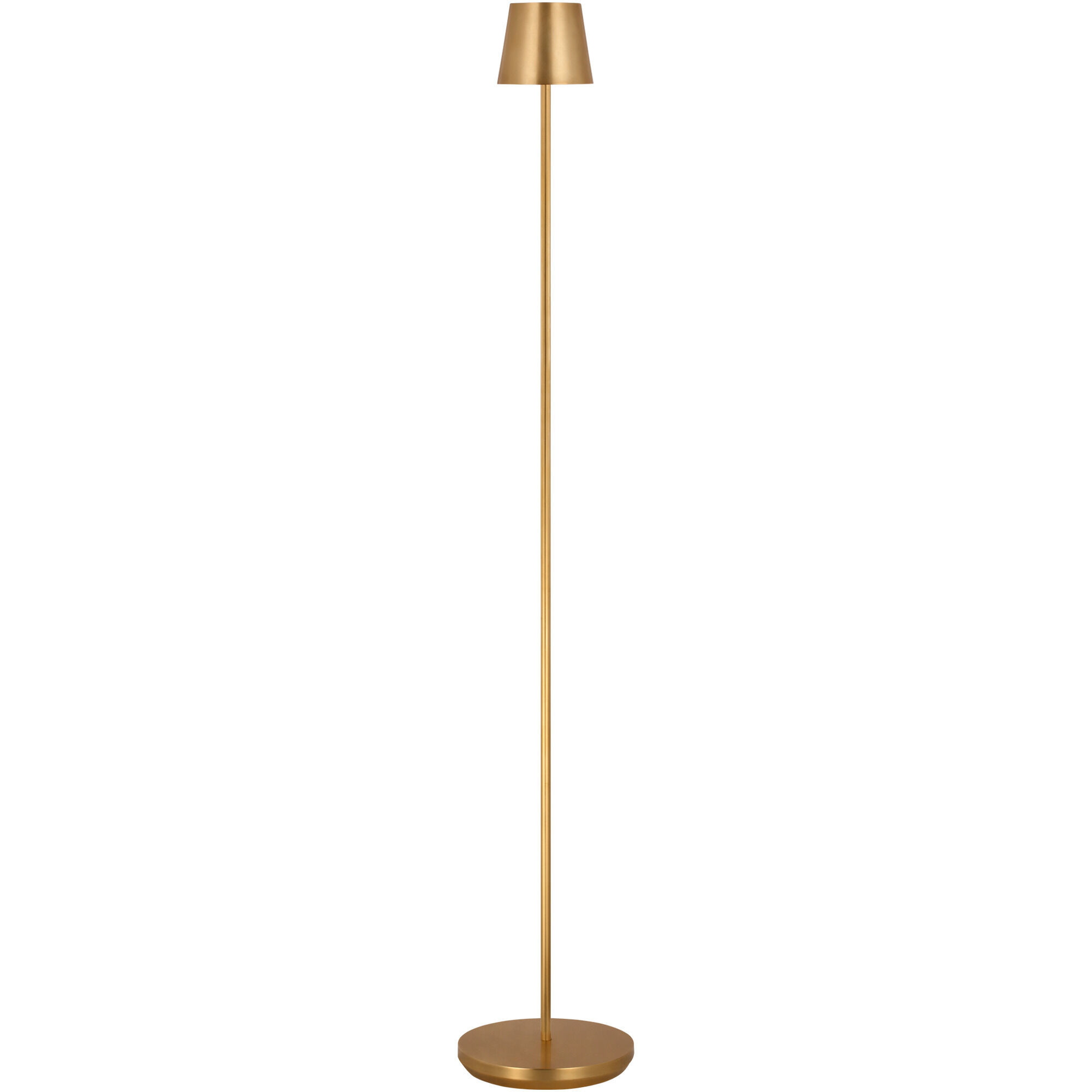 Sean Lavin Nevis 49 inch 2.2 watt Hand Rubbed Antique Brass Rechargeable Floor Lamp Portable Light