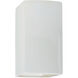 Ambiance Rectangle LED 13.5 inch Gloss White Outdoor Wall Sconce, Large