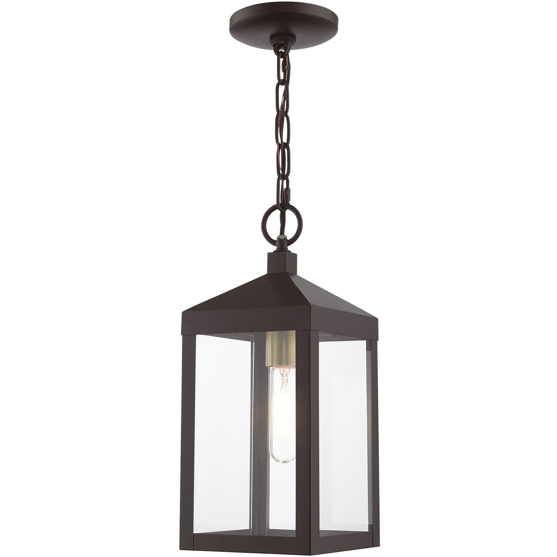 Nyack 1 Light 6.25 inch Bronze with Antique Brass Cluser Outdoor Pendant Lantern