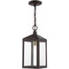Nyack 1 Light 6.25 inch Bronze with Antique Brass Cluser Outdoor Pendant Lantern