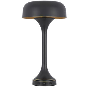 Mushroom 22 inch 40.00 watt Dark Bronze Table Lamp Portable Light