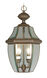 Monterey 2 Light 10.5 inch Bronze Outdoor Pendant Lantern
