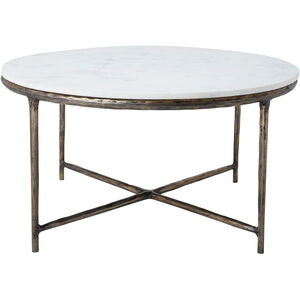 Pearse 29.9 X 15.7 inch Antique Brass and White Coffee Table
