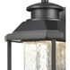 Irvine LED 13 inch Matte Black Outdoor Sconce