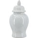 Anita 12.2 X 6.3 inch Ginger Jar in Ivory