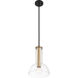 Nova 1 Light 10 inch Matte Black Pendant Ceiling Light