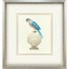 Treasure Parrot Blue and Green and Multi and Yellow Framed Art