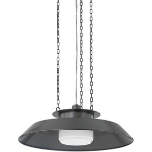 Woodrow 1 Light 22.00 inch Pendant