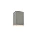 Avenue Outdoor LED 5 inch Silver Outdoor Ceiling Flush Mount