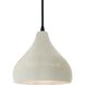 Radiance LED 8 inch White Crackle and Matte Black Pendant Ceiling Light