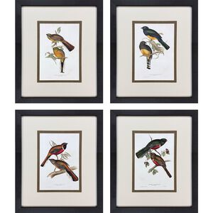 Elegant Trogons Multi and Green and Rust and Red Framed Art