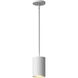 Nordic 3.63 inch Outdoor Pendant/Chandelier