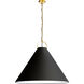 Princeton 1 Light 32 inch Aged Brass Pendant Ceiling Light in Black
