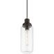 Oakhurst 1 Light 5 inch Bronze with Antique Brass Accent Mini Pendant Ceiling Light