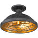 Bartlett 2 Light 14 inch Black Patina Semi-flush Ceiling Light, Damp