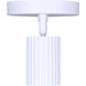 Rexton 2 Light White Track Lighting Ceiling Light