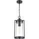 Braselton 1 Light 8 inch Powder Coated Black Outdoor Hanging Lantern