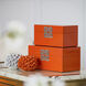 Anita 13.6 X 7.5 inch Orange Box, Set of 2