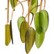 Midsummer 1 Light 16 inch Brass/Green Pendant Ceiling Light