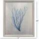 Oceanic Curiosity Blue and Metallic Framed Art, The Studio