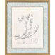 Botanical Sketch IV Gray and Beige and Neutral and Sepia Framed Art
