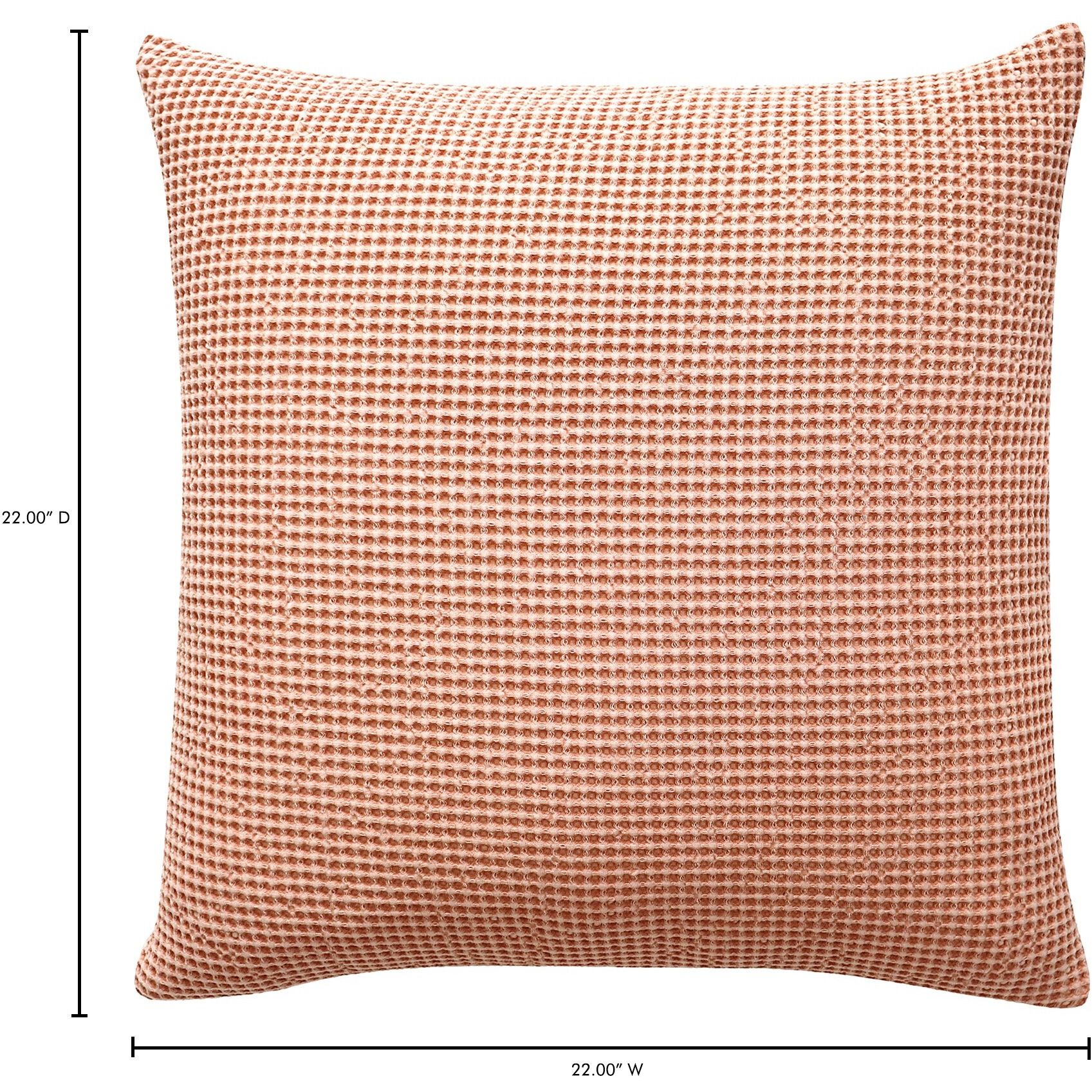 Ria 22 X 22 inch Desert Pink Pillow