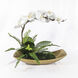 Transcend Antique Brass Orchid Centerpiece