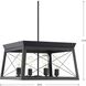 Briarwood 4 Light 20 inch Textured Black Chandelier Ceiling Light
