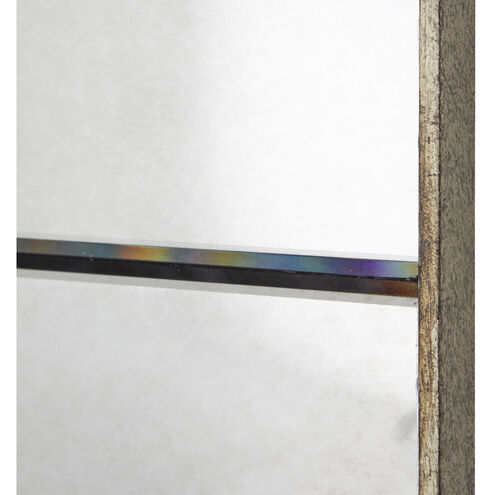 Talia 68 X 42 inch Champagne / Antique Mirror Mirror