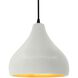 Radiance LED 11.5 inch Matte White and Champagne Gold and Matte Black Pendant Ceiling Light