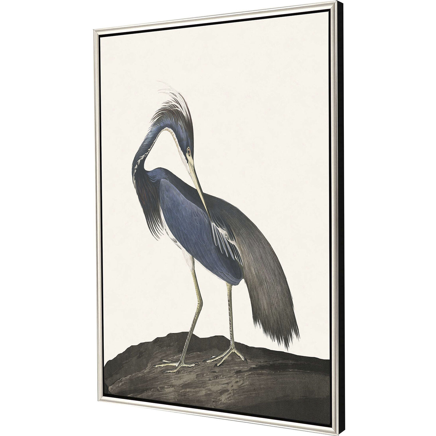 Great Heron Blue and Brown and Multi Canvas