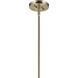Laria 1 Light Champagne Bronze Pendant Ceiling Light in Clear