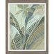 Florals Collection 28 X 22 inch Non-Glass Framed Art